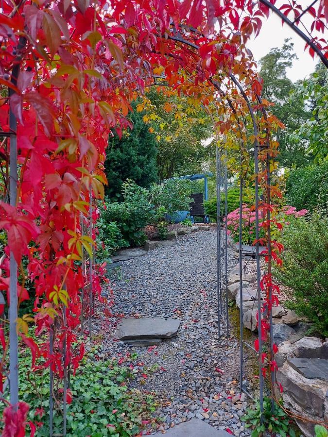 Maries Bunte Villa บาด แบร์เลอบวร์ก ภายนอก รูปภาพ