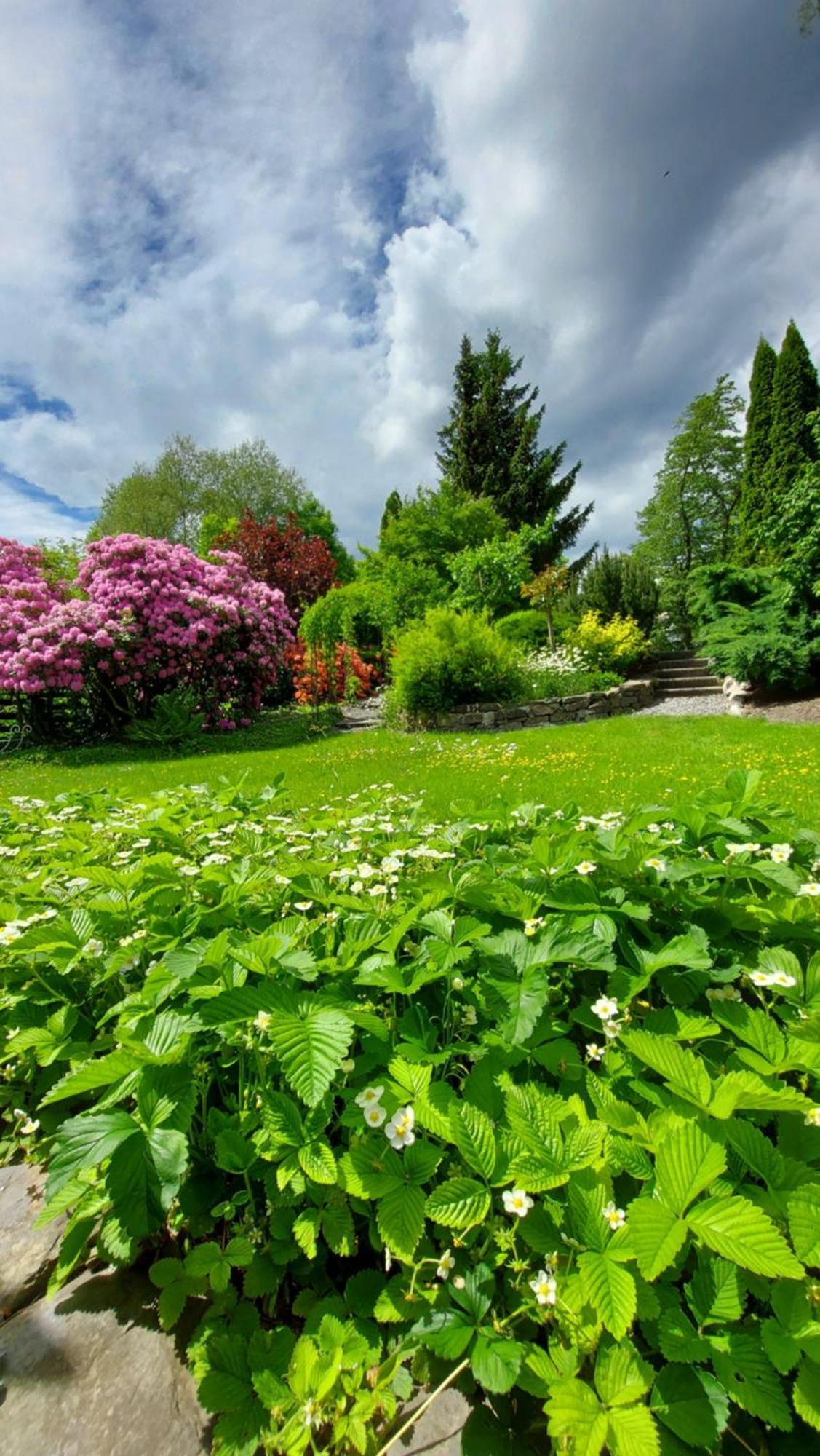 Maries Bunte Villa บาด แบร์เลอบวร์ก ภายนอก รูปภาพ