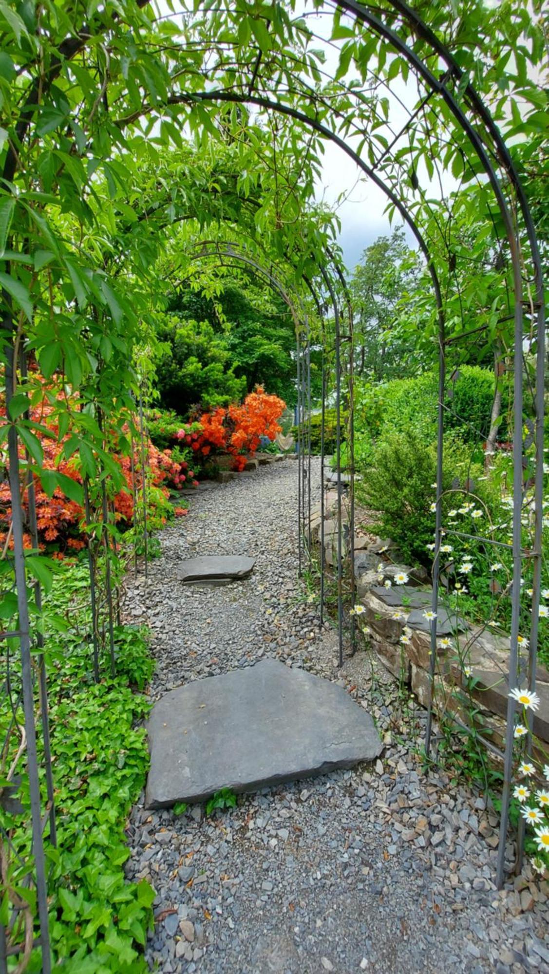 Maries Bunte Villa บาด แบร์เลอบวร์ก ภายนอก รูปภาพ