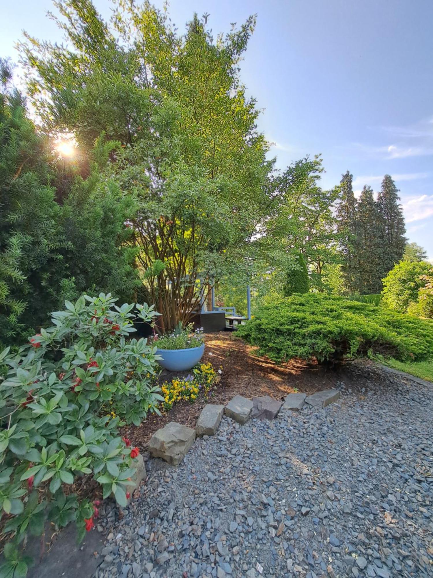 Maries Bunte Villa บาด แบร์เลอบวร์ก ภายนอก รูปภาพ
